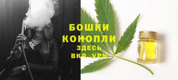 стафф Приозерск
