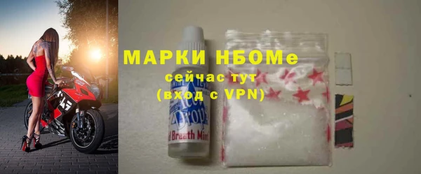 стаф Дубна