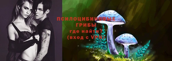 прущие грибы Покров