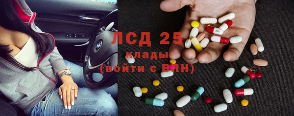 прущие грибы Покров
